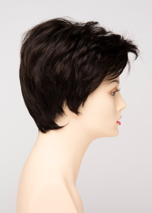 Raven | Synthetic Lace Front Wig (Basic Cap) - Image 9