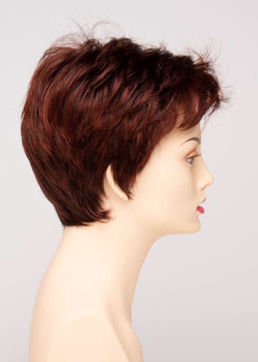 Raven | Synthetic Lace Front Wig (Basic Cap) - Image 20