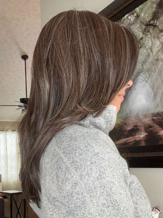 Beverly Hills | Synthetic Lace Front Wig (Mono Part) - Image 7