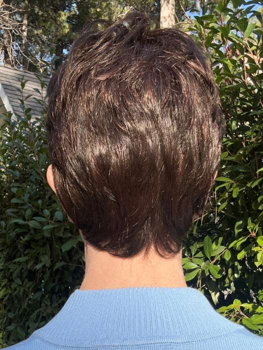 Estate | Synthetic Lace Front Wig (Mono Top) - Image 6