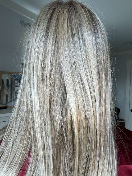 Sleek | Synthetic Lace Front Wig (Mono Part) - Image 22