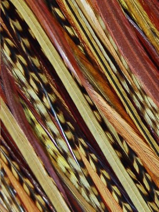 Hair Feathers | Natural Hair - Image 5