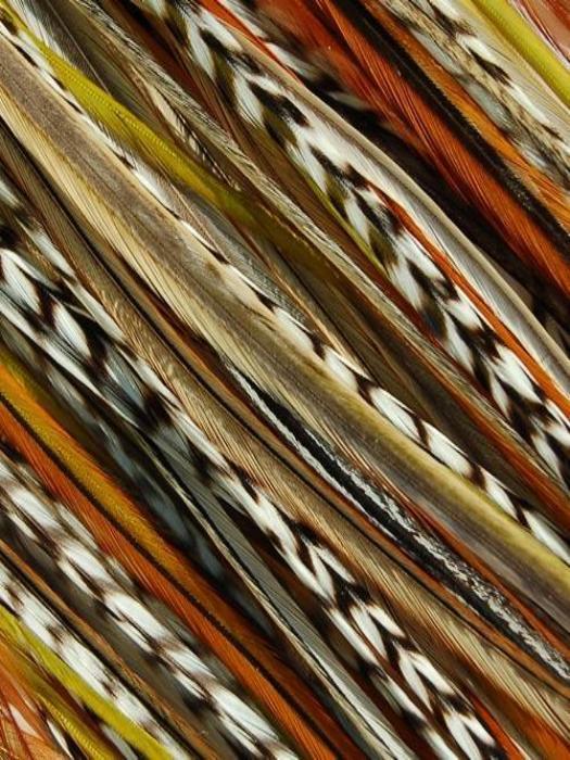 Hair Feathers | Natural Hair - Image 4