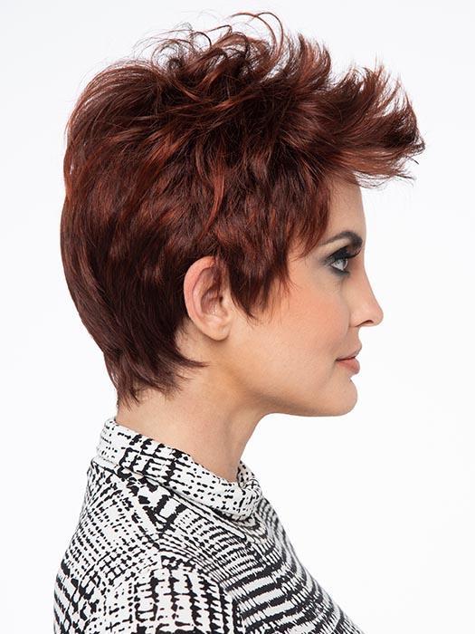 Raven | Synthetic Lace Front Wig (Basic Cap) - Image 4